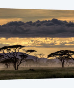 Good Evening Tanzania