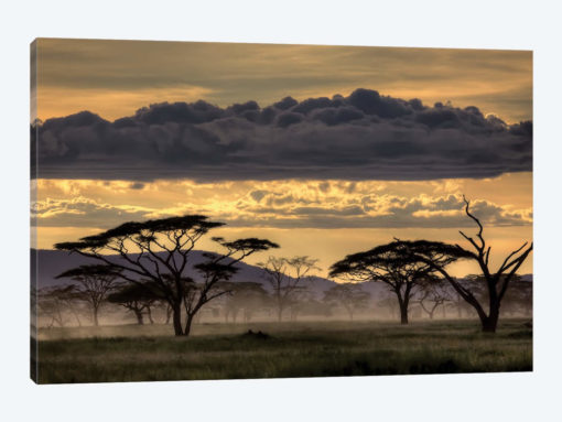 Good Evening Tanzania