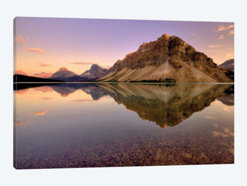 Reflection I