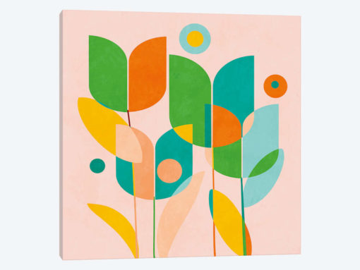 Circles Shapes Tulips
