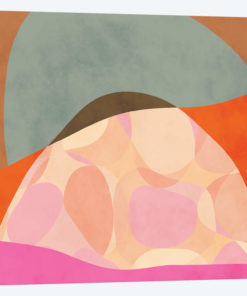 Shapes Study Tartaruga