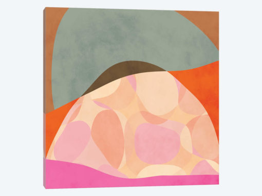 Shapes Study Tartaruga