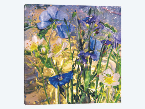 Blue And Yellow Florals