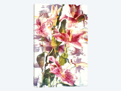 Photographic Florals