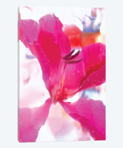 Pink Floral
