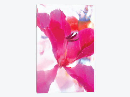 Pink Floral