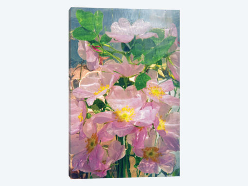 Pink Floral Underwater