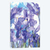 Purple Crocus