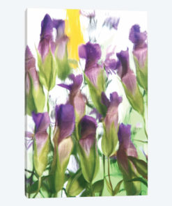 Purple Florals II
