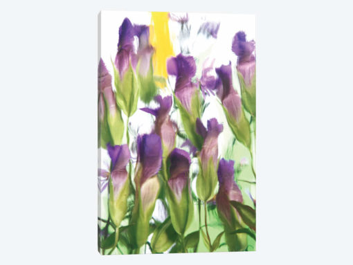 Purple Florals II