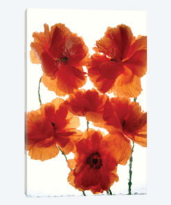 Red Florals