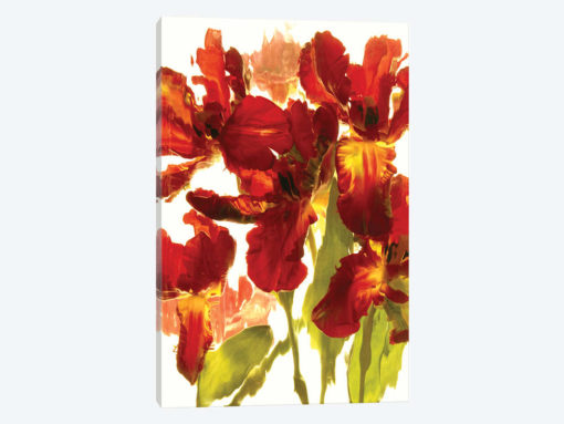 Red Spring Floral