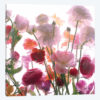 Spring Blossom Mix