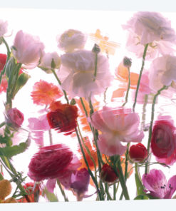 Spring Blossom Mix