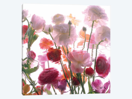 Spring Blossom Mix