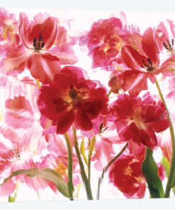 Spring Red Blossoms