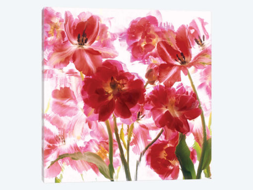 Spring Red Blossoms