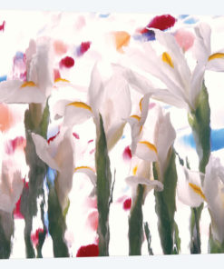 White Spring Mix
