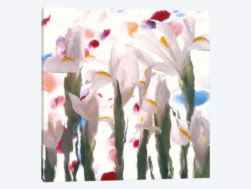 White Spring Mix