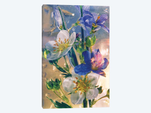 Blue Florals