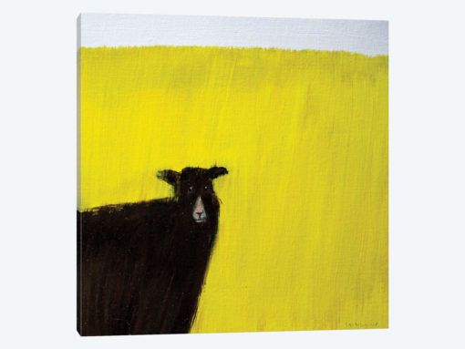 Another Goat