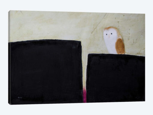 Owl On Black & Magenta