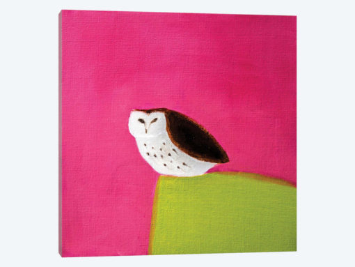Owl On Pink & Green