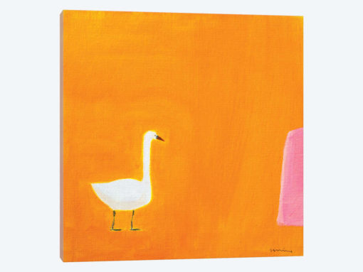 Swan