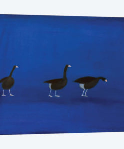 Three Geese