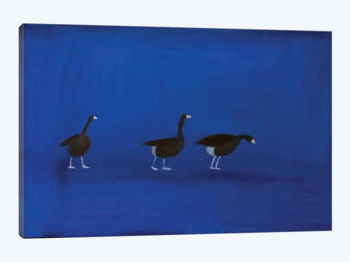 Three Geese
