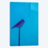 Blue Bird