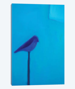Blue Bird