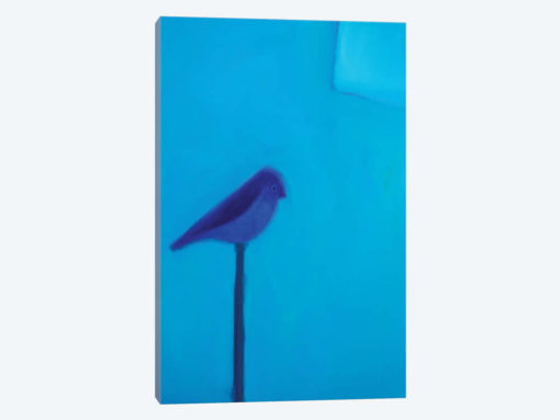 Blue Bird