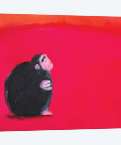 Bonobo