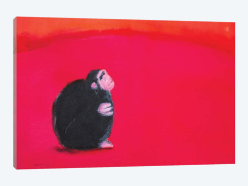 Bonobo