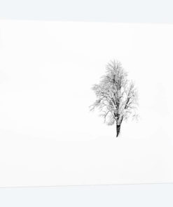 Nature I