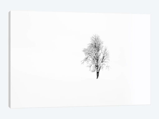 Nature I