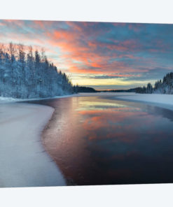 Nature II