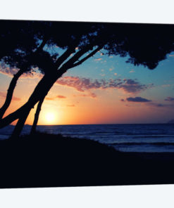 Dawn Break