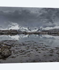Lofoten Gray I