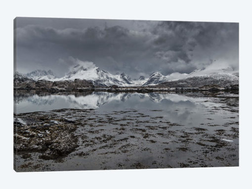 Lofoten Gray I