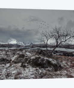 Lofoten Gray II