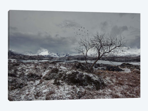 Lofoten Gray II