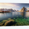Lofoten Harbor II