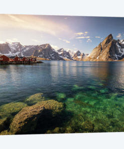 Lofoten Harbor II