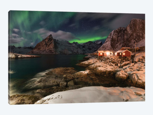 Lofoten Norther Lights