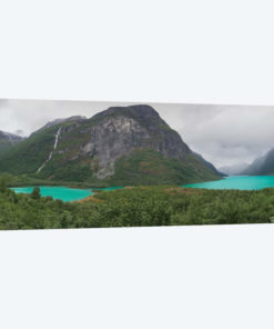 Lovanet