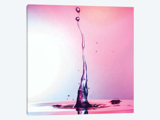 Magenta Beauty