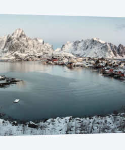 Reine