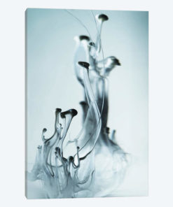 Abstract